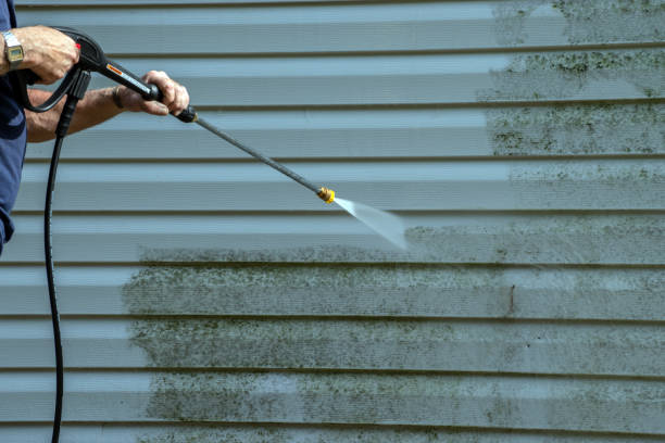 Best Solar Panel Cleaning  in Dillingham, AK